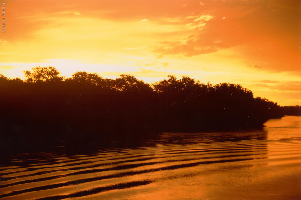 scan_Pantanal_CAN_30_agua