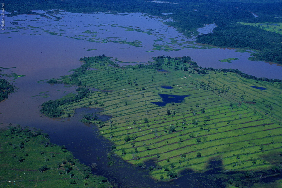 scan_Pantanal_CAN_36_agua