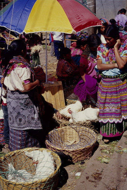 1998_Guatemala_v_CAN_04