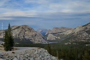Yosemite_50