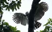 Viagem: Só pedreira – Parauapebas – Carajás – PA, dez/2011